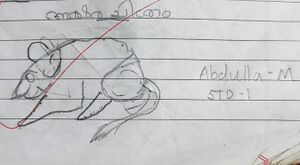 29358A-IDK-KUNJ-ABDULLA M..jpg