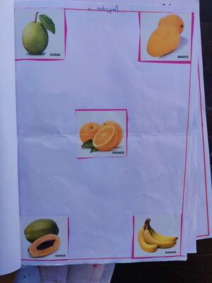 35439-ALP-KUNJ-PARVATHY R KURUP01.jpg