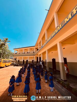 48314 CUB BULBUL.jpg