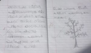 48429,MLP,HAMDAN P.jpg