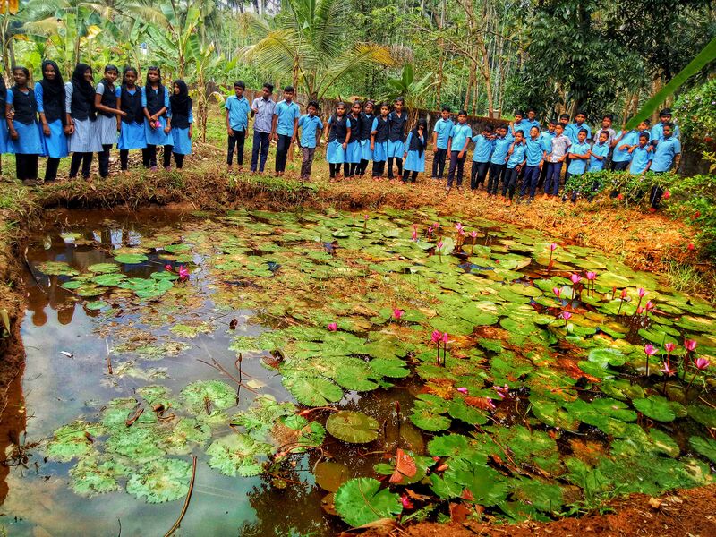 പ്രമാണം:48479 thamarakulam1.jpg