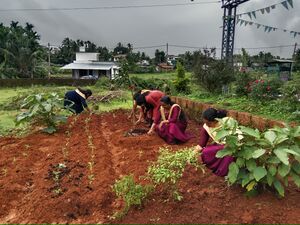 BS21 KNR 13901 7.jpg