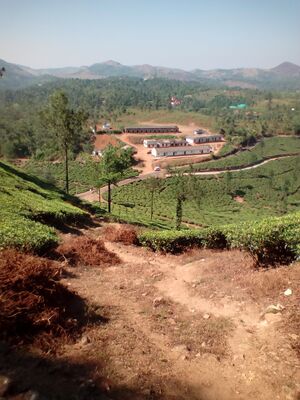 G U PS CHEMMANNU.jpg