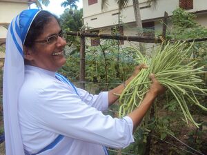 Jaivakrishi 15 35052 (5).JPG