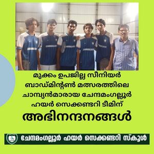 Sub District Badminton Champions.jpg