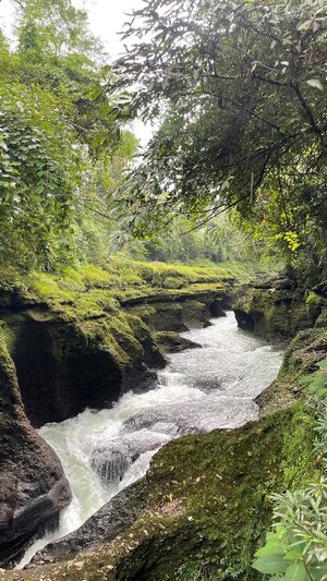 Suriyaelizabethyooby devisfalls.jpeg