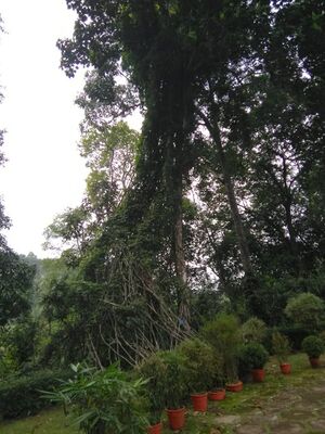 WhatsApp Image 2018-11-19 at 6.43.10 PM.jpeg