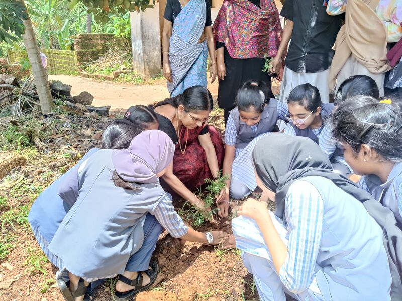 പ്രമാണം:12070 2025 ed8.jpg