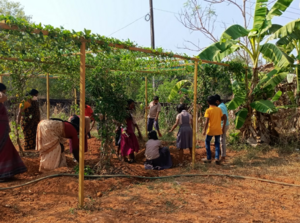 12235 Pachacurry 3.png