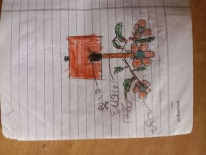 15082 WYD KUNJ ADHISH.jpg