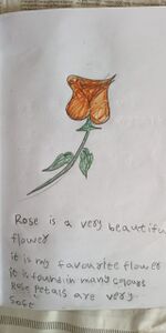 GODWIYA ROSE