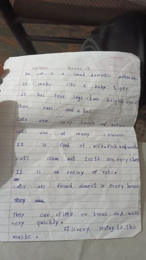 15439 WYD KUNJEZHUTH-AFNA FATHIMA.jpeg