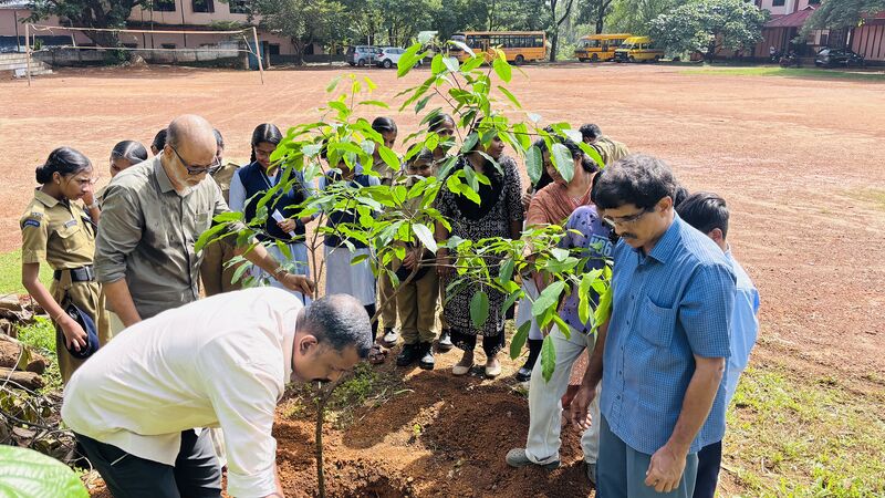 പ്രമാണം:16064 Activities Environmentday.jpg