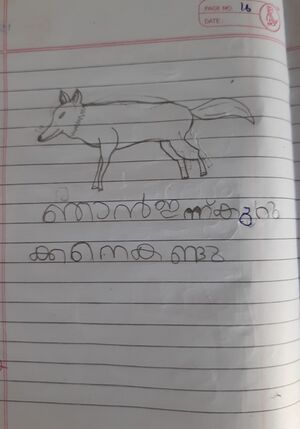 19077-MLP-KUNJ-NAJWA JINAN T.jpeg