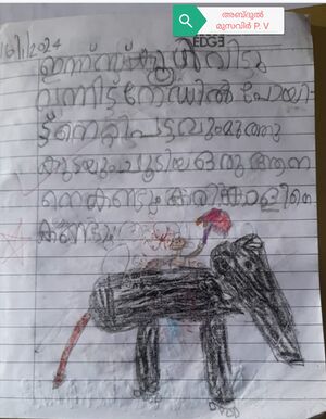 19224-mlp- kunJ-Abdulmusavir.pv.jpg