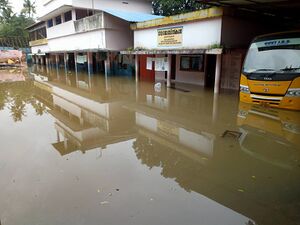 25402 wiki pic 2 (1) (FILEminimizer) 28.jpg