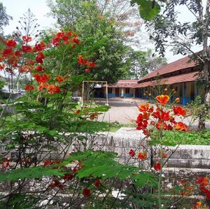 27360 Muttathupara lps.jpeg