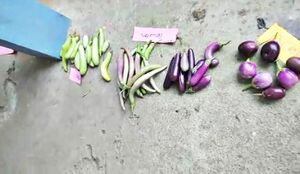 29312 karshikam17.jpeg