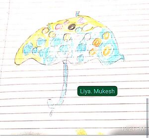 37635-PTA-KUNJ-LIYA MUKESH.jpg