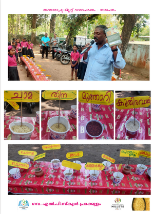 41409 millet year 2023 2.png