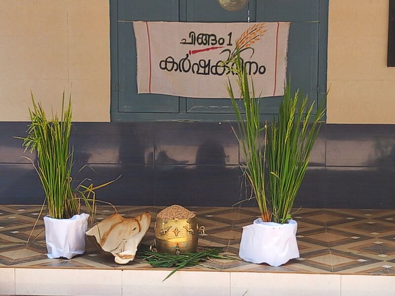 പ്രമാണം:42085 agri1.jpg