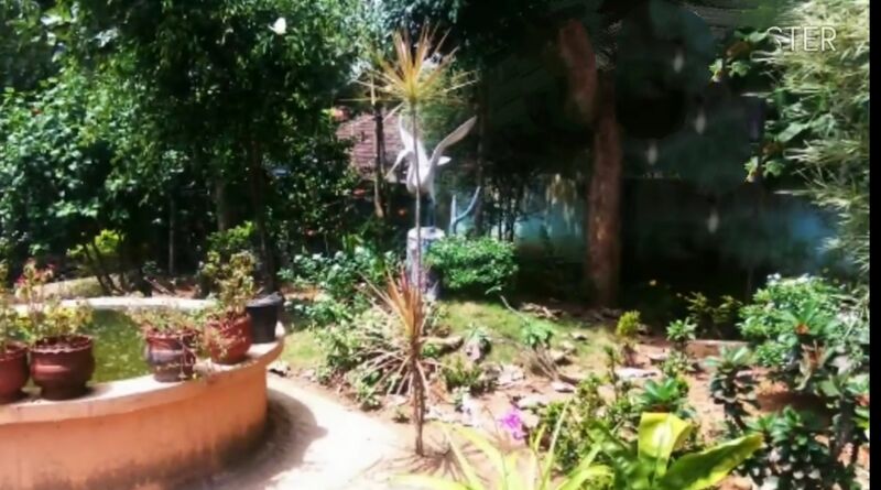 പ്രമാണം:42603 pond.jpg