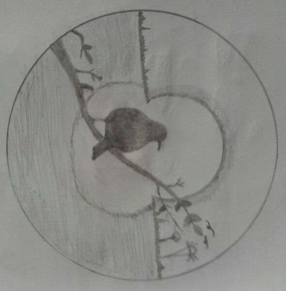 പ്രമാണം:44024-Adithya R B std 8C.jpeg