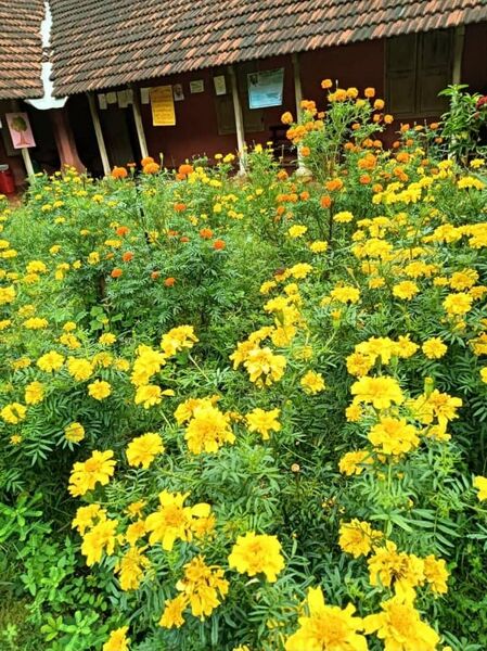 പ്രമാണം:48047 -Haritha ciub.jpeg