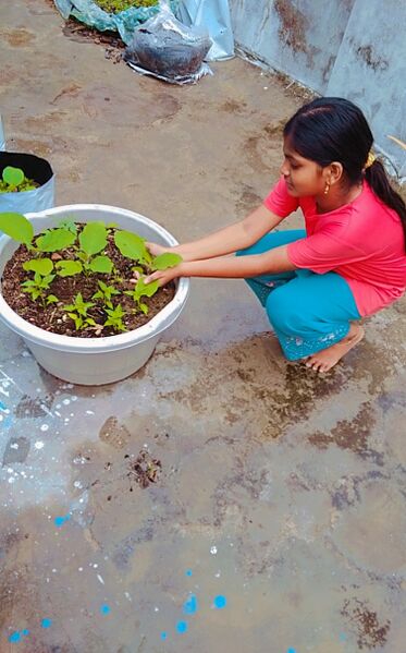 പ്രമാണം:Eco10 43065.jpeg