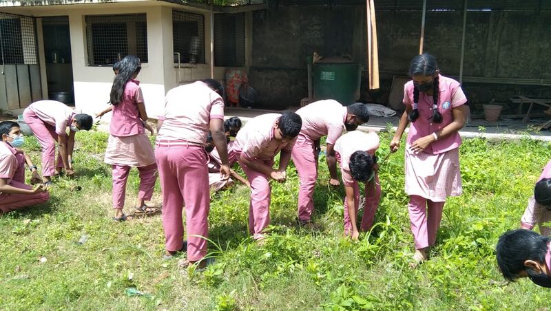 പ്രമാണം:Seed 36002.jpg