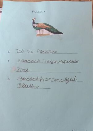 13369 KUP LIYANSH B.jpeg