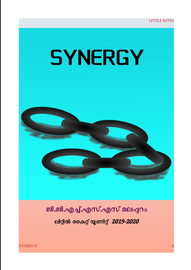 Synergy ---- ജി.ജി.എച്ച്.എസ്.എസ്. മലപ്പുറം
