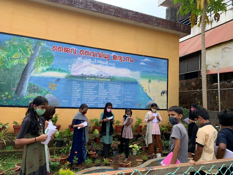 പ്രമാണം:19855 SCHOOL GARDEN 2.jpeg