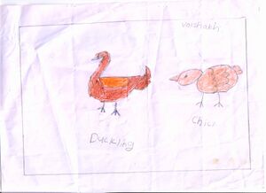 21633 PKD KUNJ VAISAKH.JPEG