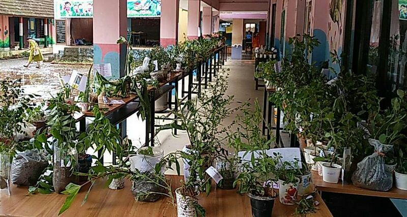 പ്രമാണം:25402 1 (1) 10.jpg