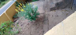 29312 environmentclub7.jpeg