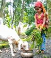 14:56, 31 ജനുവരി 2022-ലെ പതിപ്പിന്റെ ലഘുചിത്രം