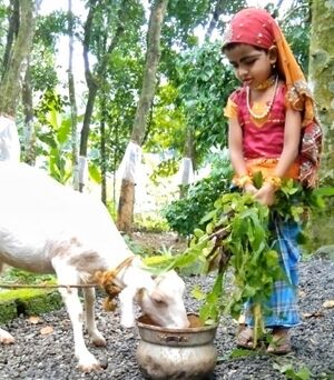 29312 vidyarangam22.jpg