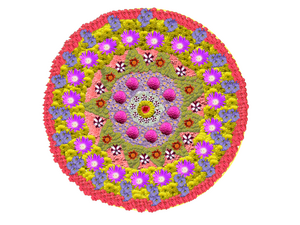 37053-pta -dp- 2019-1.png