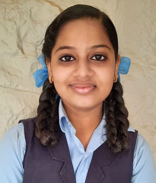 പ്രമാണം:Uss17 43065.jpg