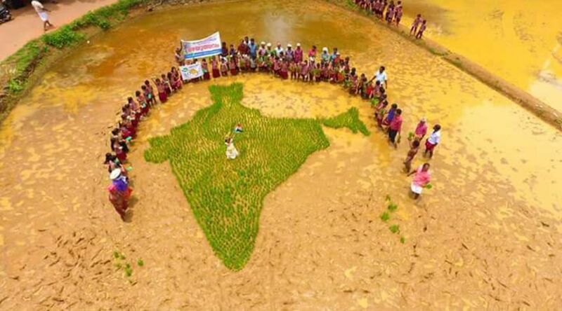 പ്രമാണം:ഹരിത ഭാരതം.jpg