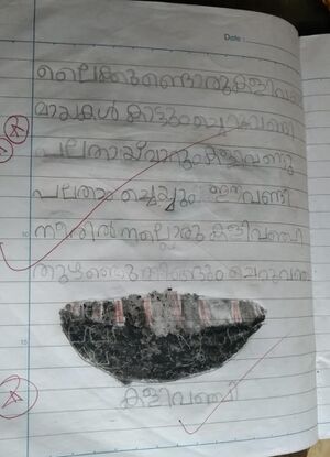 11433 kunhezhuth3.jpg