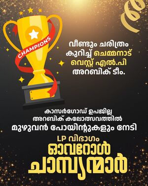 11453 arabic overall 2025.jpg