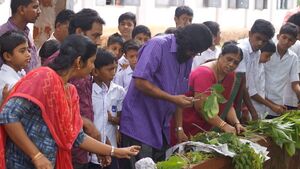 12060 aushadham 2.JPG