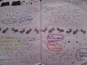 12201-KGD-KUNJ-ZENHA SAFEER.jpg