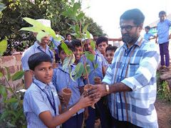 വൃക്ഷത്തൈ വിതരണം