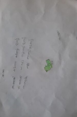 15078- WYD- KUNJ- THANMAYA.jpg