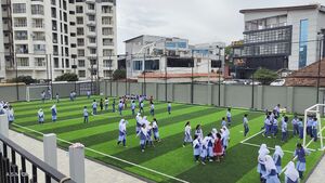17091 turf-ground.jpg