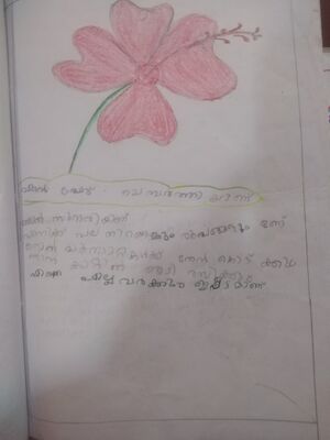 18230-MLP-KUNJA-AYYUB ALI.jpg