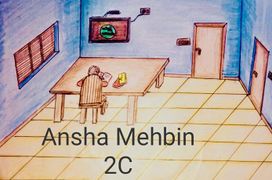 Ansha Mehbin 2C